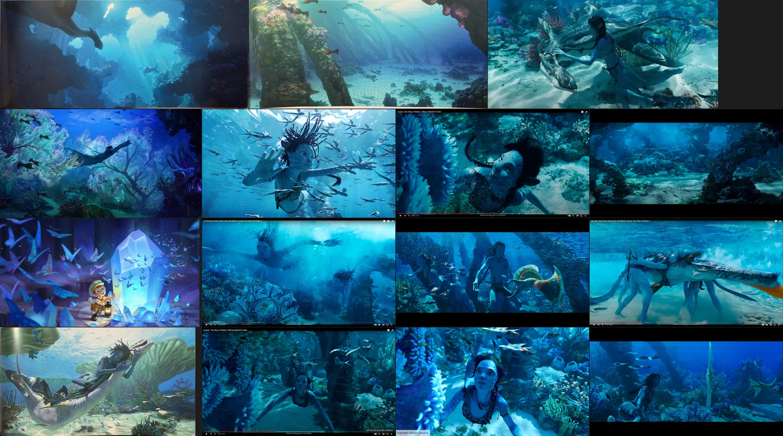 From fearing the sea to diving with bull sharks